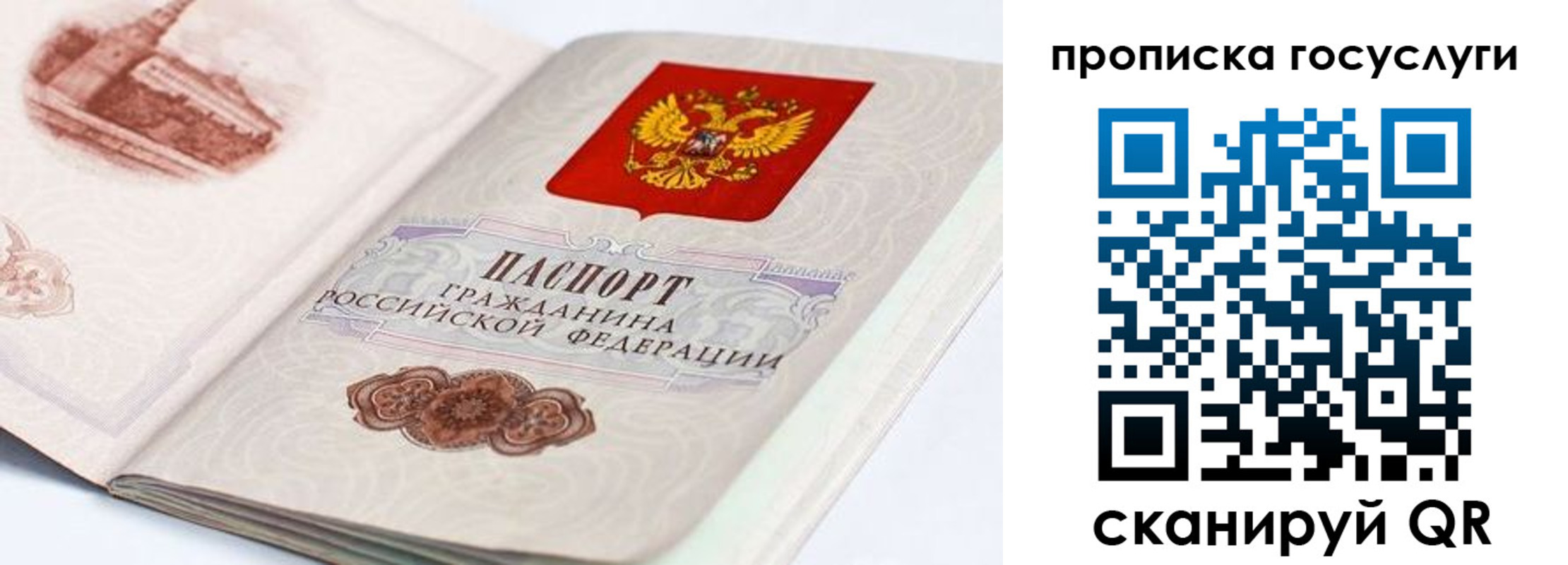 прописка гарантия в Менделеевске